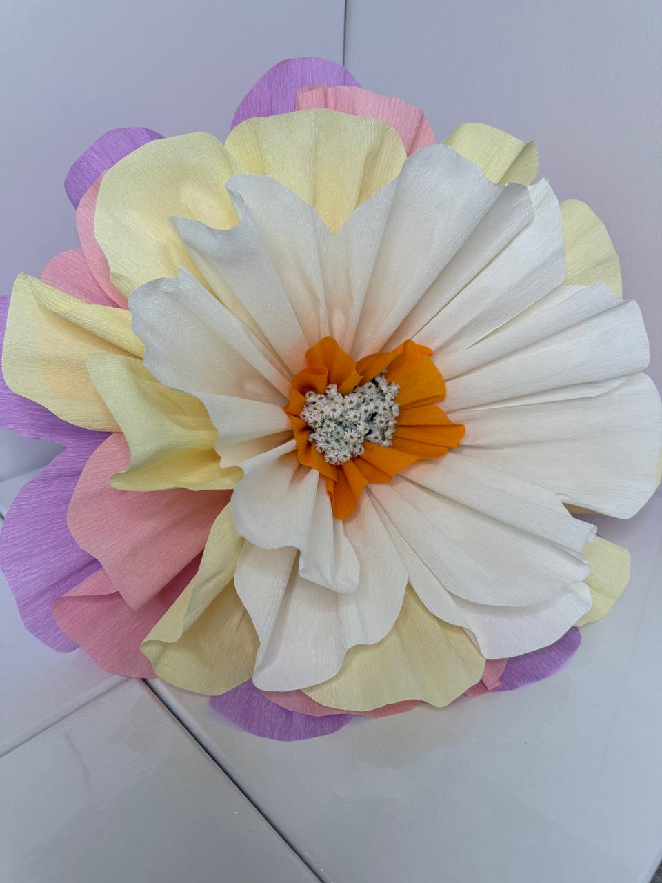 Candy Cloud Bloom
